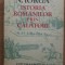 ISTORIA ROMANILOR Prin Calatori - Nicolae Iorga