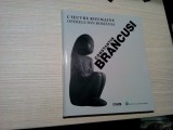 CONSTANTIN BRANCUSI - Operele din Romania - N. Sandulescu (foto) - 2004, 94 p., Alta editura