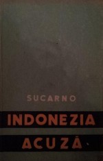 INDONEZIA ACUZA foto