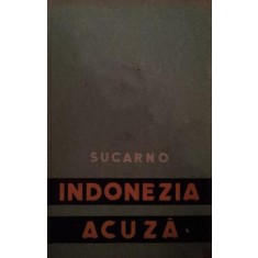 INDONEZIA ACUZA