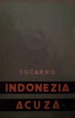 INDONEZIA ACUZA foto