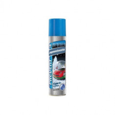 Spray dezghetat Prevent 300ml Cod: 513824 Automotive TrustedCars