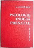 Patologie Indusa Prenatal - M. Geormaneanu - Carte Medicina