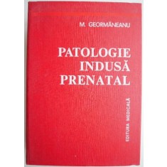 Patologie indusa prenatal &ndash; M. Geormaneanu