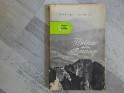 Hoinar prin Bucegi de Andrei Pandrea foto