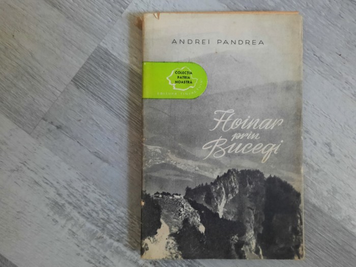 Hoinar prin Bucegi de Andrei Pandrea