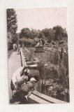 RF199 - Carte Postala - Cluj. Gradina Botanica, necirculata