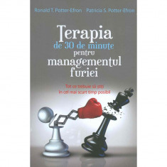 Terapia de 30 de minute pentru managementul furiei - Ronald T. Potter-Efron, Patricia S. Potter-Efron