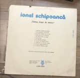 Vinil 4.1 Vinyl Electrecord , Ionel Schipoanca