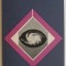 Galaxii, nuclee si quasari &ndash; Fred Hoyle