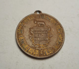 Medalion Federatiunea Societatilor de Gimnastica, Arme si Dare la Semn 1913