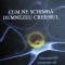 Cum ne schimba Dumnezeu creierul - Andrew Newberg, Mark Robert Waldman