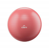 Minge fitness Crivit, 65cm, 1.35kg, Roz pal