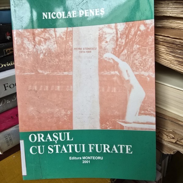Orasul cu statui furate - Nicolae Penes
