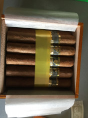 Trabucuri Cohiba Robustos 25 buc/cutie foto