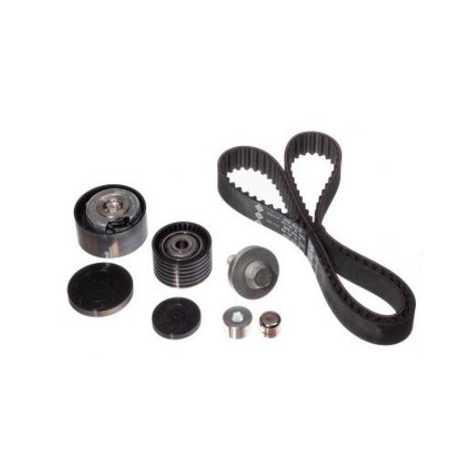 Kit distributie Dexwal 7165