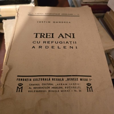 TREI ANI CU REFUGIATII ARDELENI - IUSTIN HANDREA foto