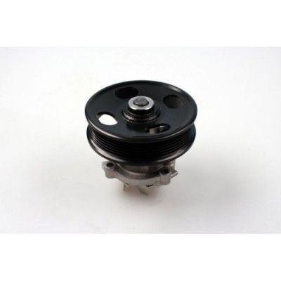 Pompa apa Hepu P323 foto