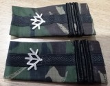 C3 - Grade militare - mozaic padure - locotenent colonel vanatori munte