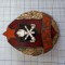 insigna pompier militar, 15 ani vechime