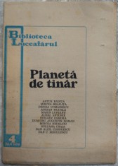 BIBLIOTECA LUCEAFARUL NR. 4 / 1978: PREMII 1977 (Artur Badita/Mircea Brailita/Denisa Comanescu/Marin Lupsanu/Mircea Nedelciu/Dan C. Mihailescu+6)