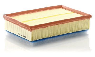 MANN-FILTER C 30 011 Filtru aer foto