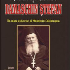 Amintiri despre parintele Damaschin Stefan - Mihaela Ion