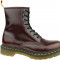 Bocanci Dr. Martens 1460 Vegan 24226600 maro