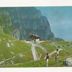 RF5 -Carte Postala- Muntii Bucegi, Cabana Caraiman, necirculata