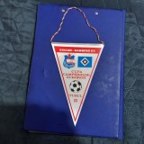 Fanion Dinamo - Hamburg SV