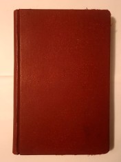 Ion F. Buricescu - Pe margini de prăpastie: &icirc;nsemnări din războiul pentru &icirc;ntregire