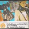 MICI OBIECTE VESTIMENTARE SI DECORATIVE DIN MATERIALE DIVERSE - LIANA ELENA NEAGU