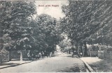 Salutari din Baile Pucioasa. Bulev. si str. Regala (necirculata)