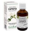 EXTRACT DIN MLADITE DE CAPRIFOI 50ML, Plantextrakt