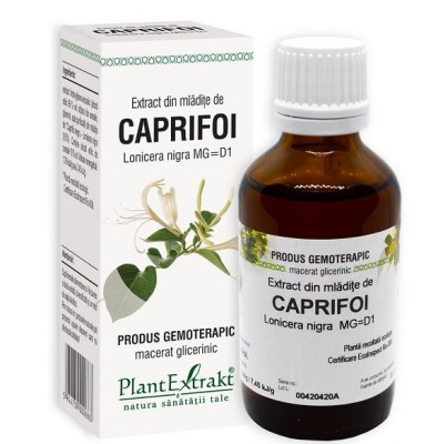 Extract din mladite de caprifoi 50ml foto