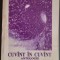 NICOLAE IONEL: CUVANT IN CUVANT / CUVINT IN CUVINT (ANTOLOGIE DE VERSURI / PREFATA DE LUCIA CIFOR / 2004) [fara fila de garda]