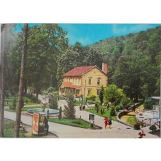 Moneasa. Vedere din statiune. Carte postala circulata