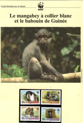 Guineea 2000-Mangabey cu guler alb+babuin guineean,set WWF,6poze,MNH(descrierea) foto