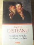 IMAGINEA EVREULUI IN CULTURA ROMANA-ANDREI OISTEANU-350172