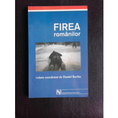Firea romanilor, volum coordonat de Daniel Barbu