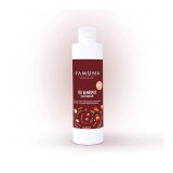 Gel de dus Yamuna Aroma Placinta de mere de iarna 200 ml