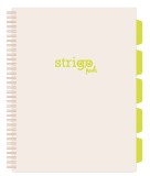 Caiet cu Spirala si Separatoare Strigo Pads Project Book Pastel A4, Matematica, Crem