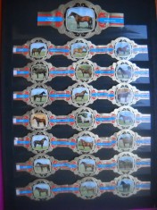 HOPCT LOT NR 41 RASE DE CAI -FAUNA -36 BUC-ETICHETE VECHI DE TRABUCURI / CIGARS LABELS -COLECTIE DE LUX-LITHO