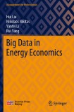 Big Data in Energy Economics