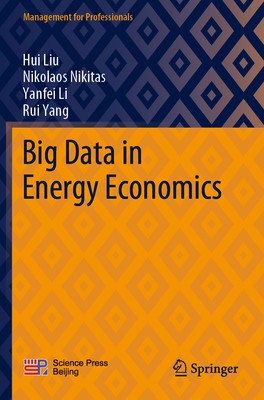 Big Data in Energy Economics foto