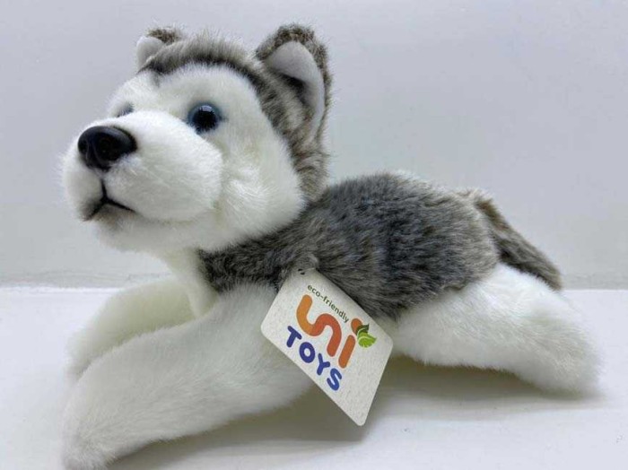 Caine Husky de plus nat geo