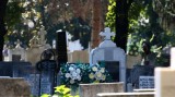 Vand loc de veci in Cimitirul Bellu