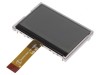 Afişaj LCD Grafic 256x128 FSTN 80x54mm 2,9 LED