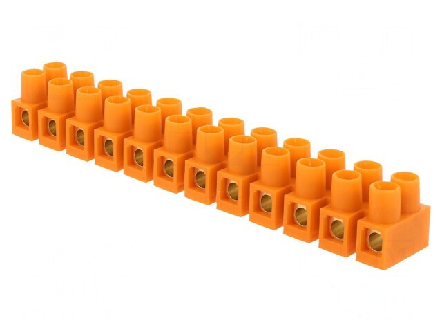 Regletă de Conexiuni cu Șurub 16mm2 76A 12 Piste