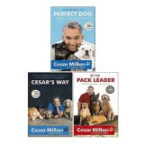 The Dog Whisperer Cesar Millan 3 Books Collection